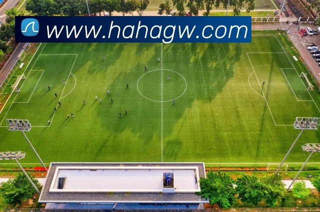 App Interface Preview